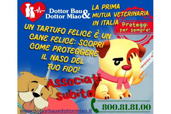 Un Tartufo Felice è un Cane Felice: Scopri Come Proteggere il Naso del tuo Fido!