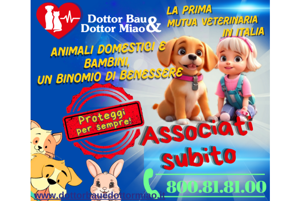 Animali domestici e bambini: un binomio perfetto